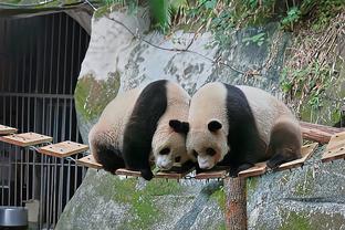 附加赛资格争夺战？明日10:30 湖人将客场正面对话背靠背的爵士